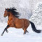 Eirini_D19