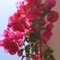 Axilleas_2001