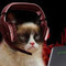 RX5700XTCat