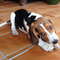 ANTONIS_TSAKIRIS