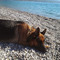 Geo_Mal7