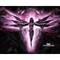 giannis_betas