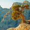 Kostas_Verykokidis