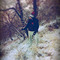 panos_gkoumas