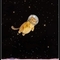 Unknown_Creature