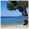 parsenikos7