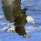 Giannis_Mayridis4