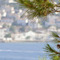 Panagiotis_Svolopoulos