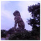 simos_bouroudis