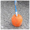bill_zounis12