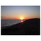 Vasilis_Goutis