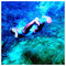 Christos_Dounavis