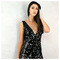 stella_gazeta