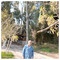 kosmadakis_stelios