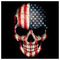skulltrooper2010_tv