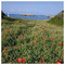 Petros_Stavrou