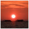 Zenia_233