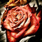 poppy_2006