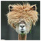 Andreas_Metaxas