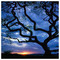 nicolas_iliakis
