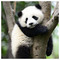 Giannis_Dimitriou81