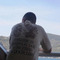 Leyteris_Korosidis44