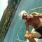 teo_stamatidis