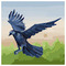 Dangerwhip_179_hawk