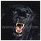 Apostolis_Mais