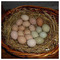 CHoriatika_Avga_Xanthis_Chicke