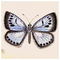 Sally_Vavoula