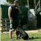 zarganis_antonis86