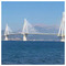 Rushit_Zeneli