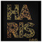 Haris_Stamatakis87