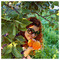 Eirini_L_4