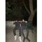 Kyriakos_THomagini