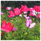 Maria_THeodoropoulou7453
