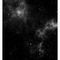 stargazerx