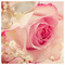 Stavroula_Vallianatou