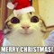 Dimi_Nou