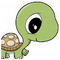tortoise