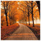 George_Dur