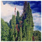 Ioannis_Kardatos