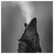 Giannis_Stefanis8893