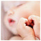 Giota_K_1260