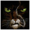 George_Zoukas9387