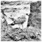 Giorgos_Koureas1028
