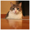 Philip_Zabetas_Moutafis