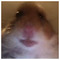 _Jackie_Jan_
