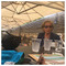 anna_alexopoulou7068